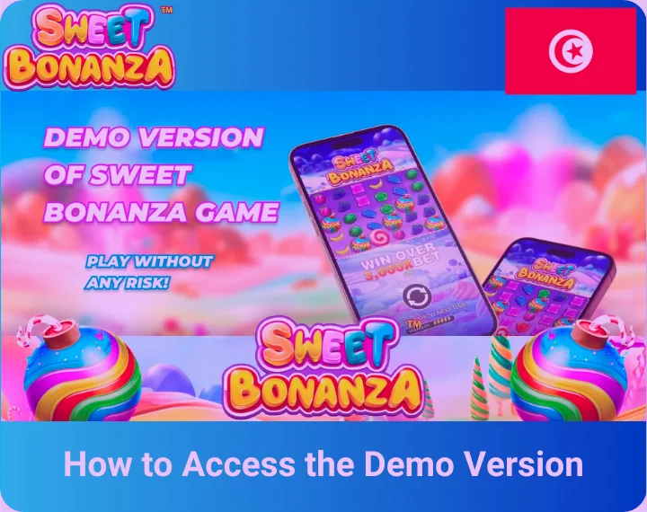 How to Access the Demo Version